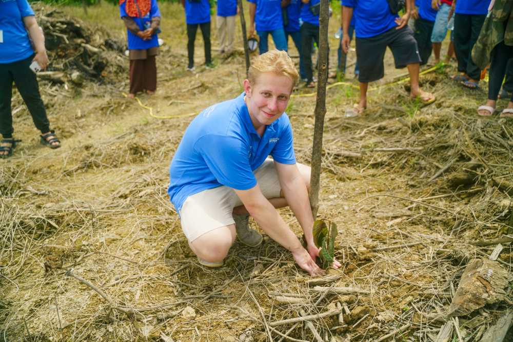 Planting a Young Kratom Tree